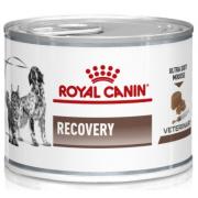 Royal Canin Recovery полнорационный диетический корм для кошек и собак, рекомендуемый как поддерживающее и восстанавливающее питание в период выздоровления или при липидозе печени у кошек. 195гр
